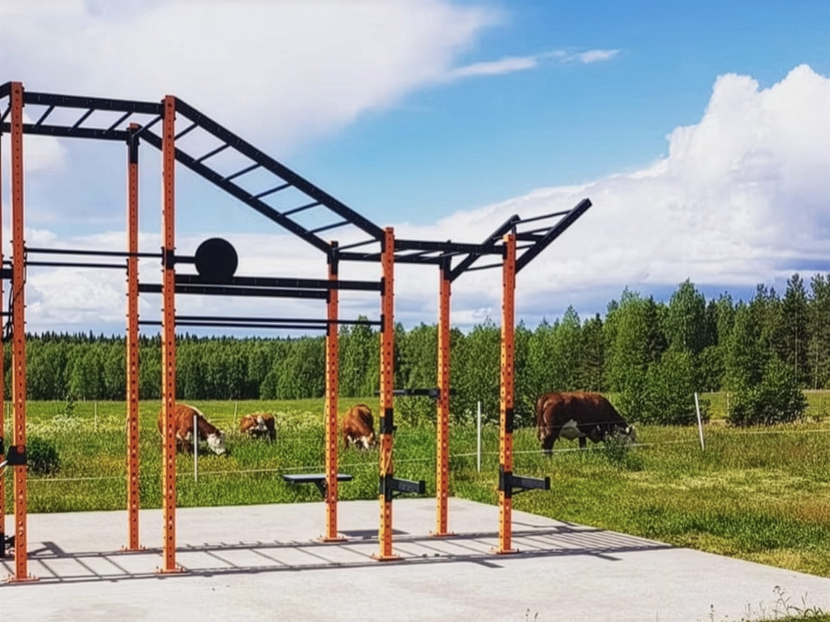 Outdoor calisthenics workout equipment at SBC Lodge